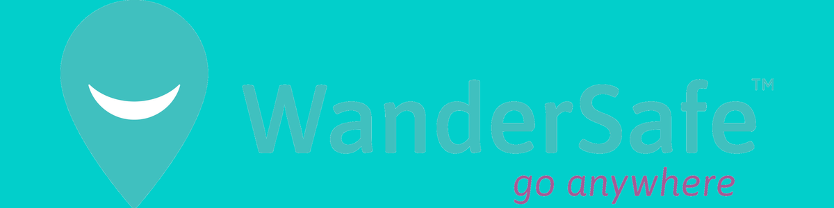 Primary logo — brand background